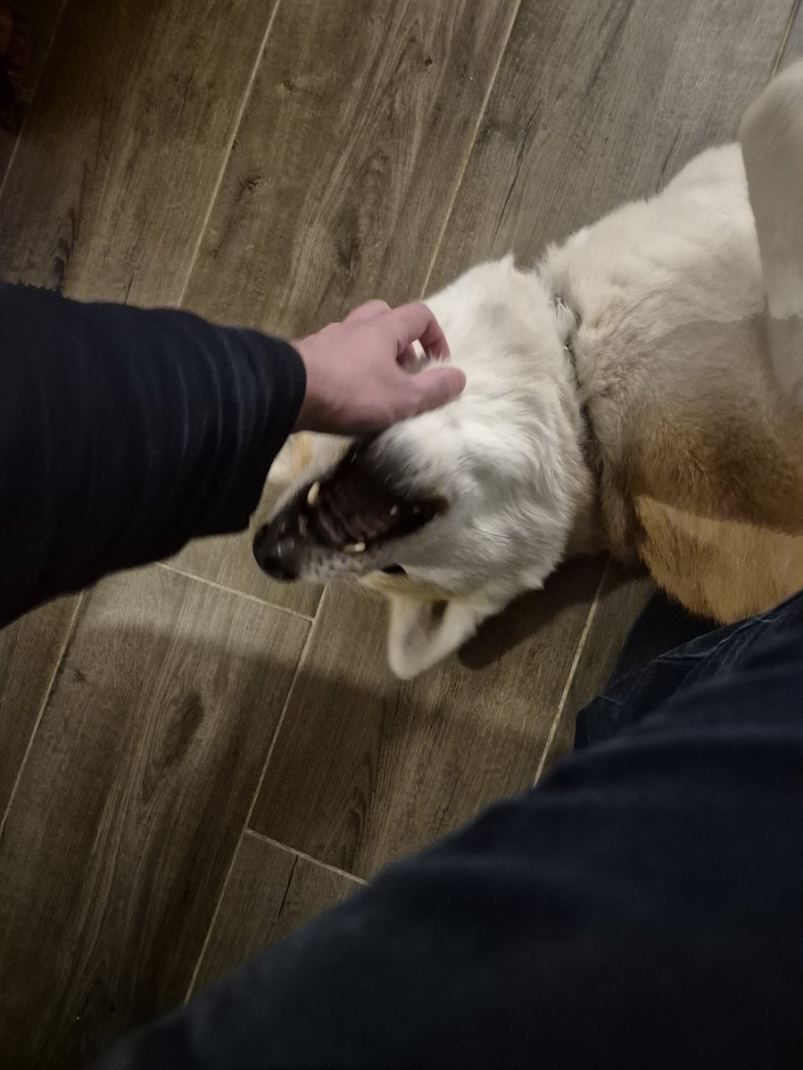 Zetsu115 tweet media