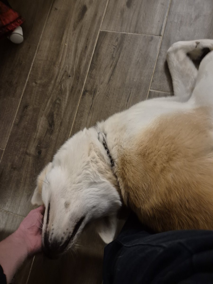 Zetsu115 tweet media