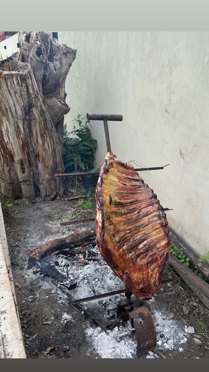 Heilfrog tweet media