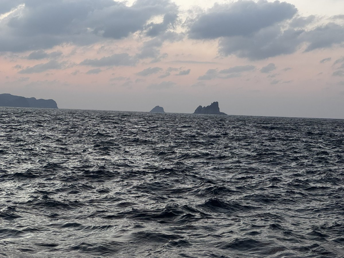koretomo1083's tweet photo. まだ19度台。
型こまい。
#隠岐島 https://t.co/xJP4lmfwwf