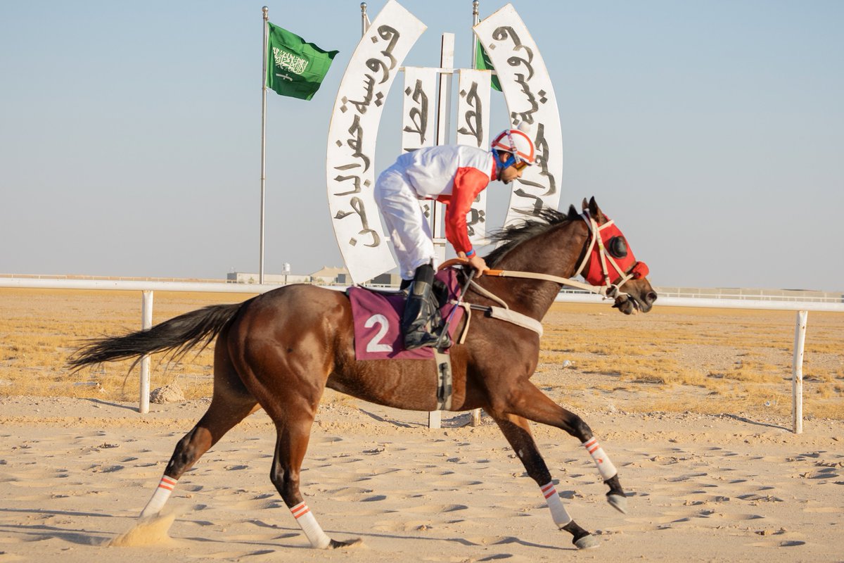 FrusiyaHB's tweet photo. الجواد  معز بقيادة الخيال محمد النفزي حضور لافت وأداء يُشعل الميدان 🏇🔥

#ميدان_فروسية_حفرالباطن https://t.co/fIV4vKSThJ