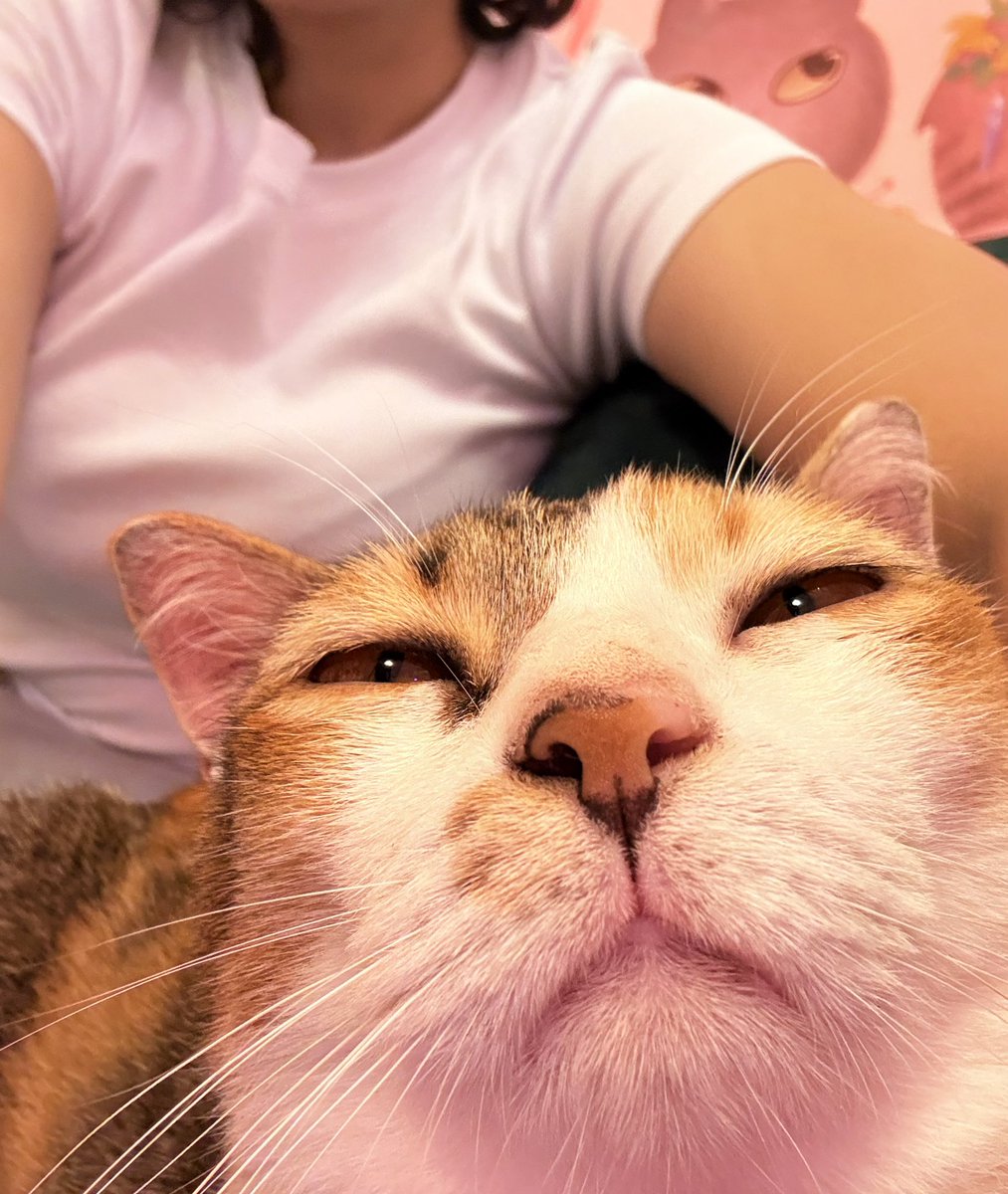 I got a cat and apparently she doesn’t like me.