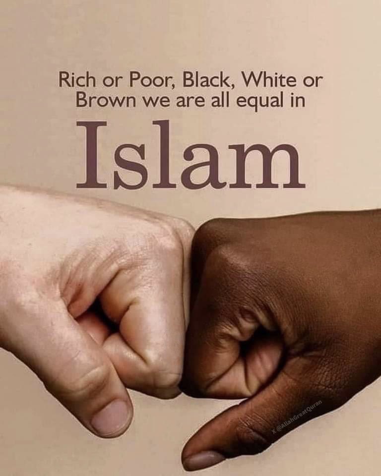 There is no racism in Islam.

Rich or Poor, Black, White or Brown We all equal in Islam.