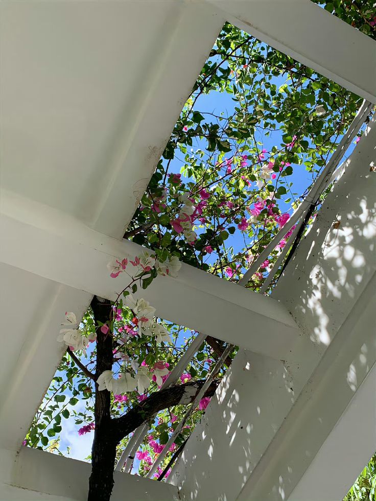 greenvibe's tweet image. 