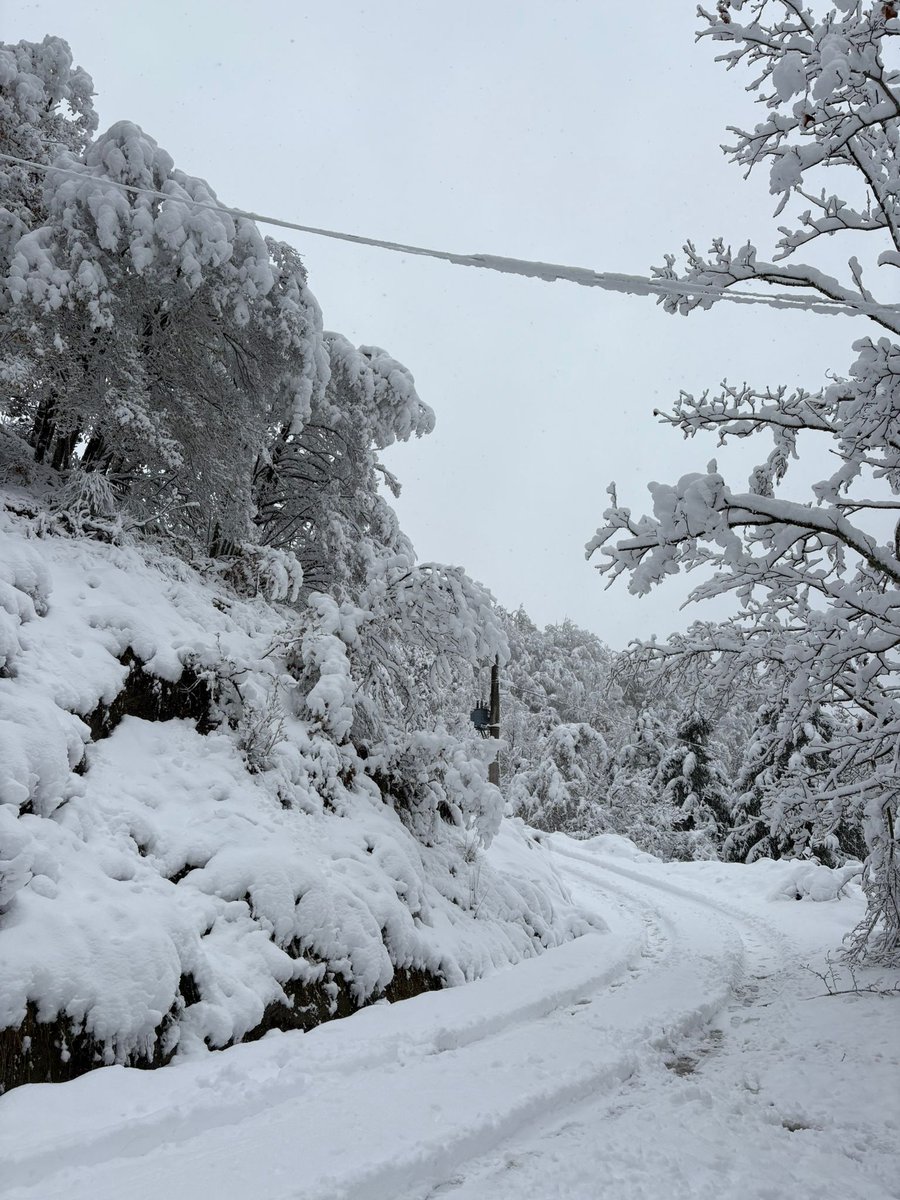 DavideFantuzzi's tweet photo. Scampagnata a #campigna

#boilerpassionetrekking #appenninotoscoromagnolo #montagna #NaturePhotography https://t.co/j01Reh3uyP