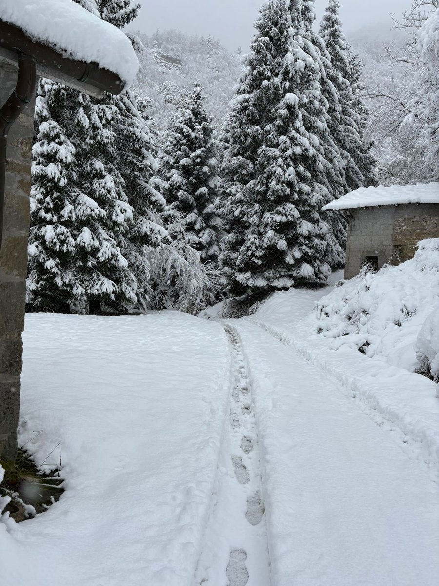 DavideFantuzzi's tweet photo. Scampagnata a #campigna

#boilerpassionetrekking #appenninotoscoromagnolo #montagna #NaturePhotography https://t.co/j01Reh3uyP