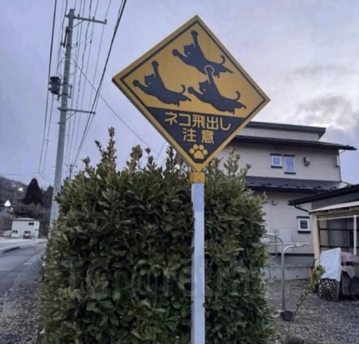 SandyofCthulhu's tweet image. This is the most critically important warning sign you’ll ever see. Disobey it at your peril.

No I have no idea what it means. It’s just obviously vital.