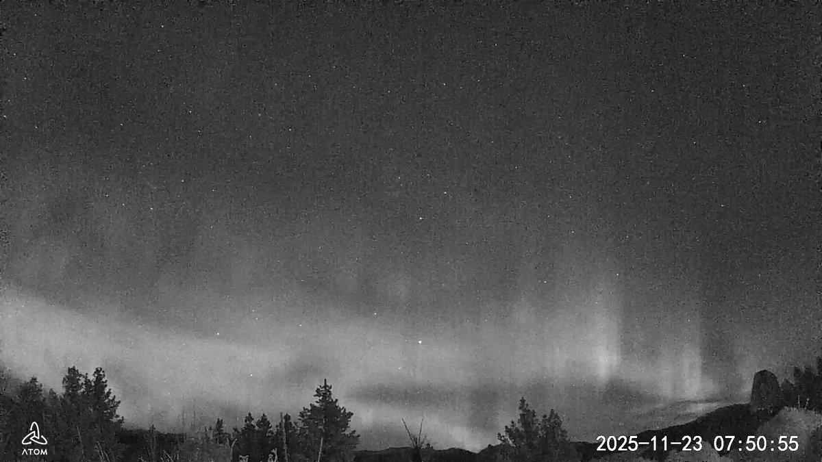 Taizo (@Taizo1959) / Posts / X