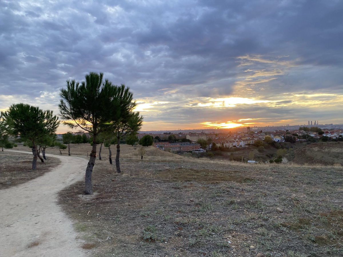 davmendiola's tweet photo. #ElTiempoRTVE Atardecer en Paracuellos de Jarama.
David Mendiola https://t.co/MPefIZVnaO