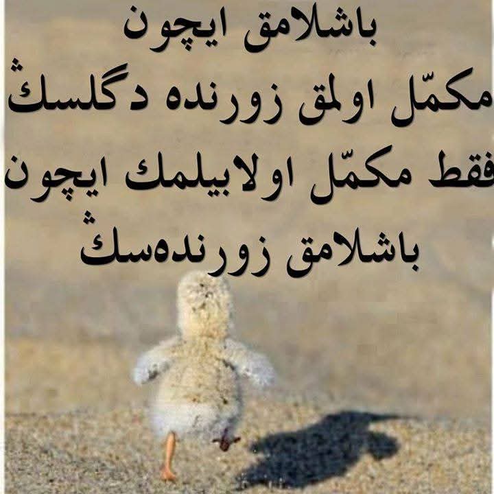 Usta_Efr's tweet photo. ? https://t.co/X7RO4kWJiX