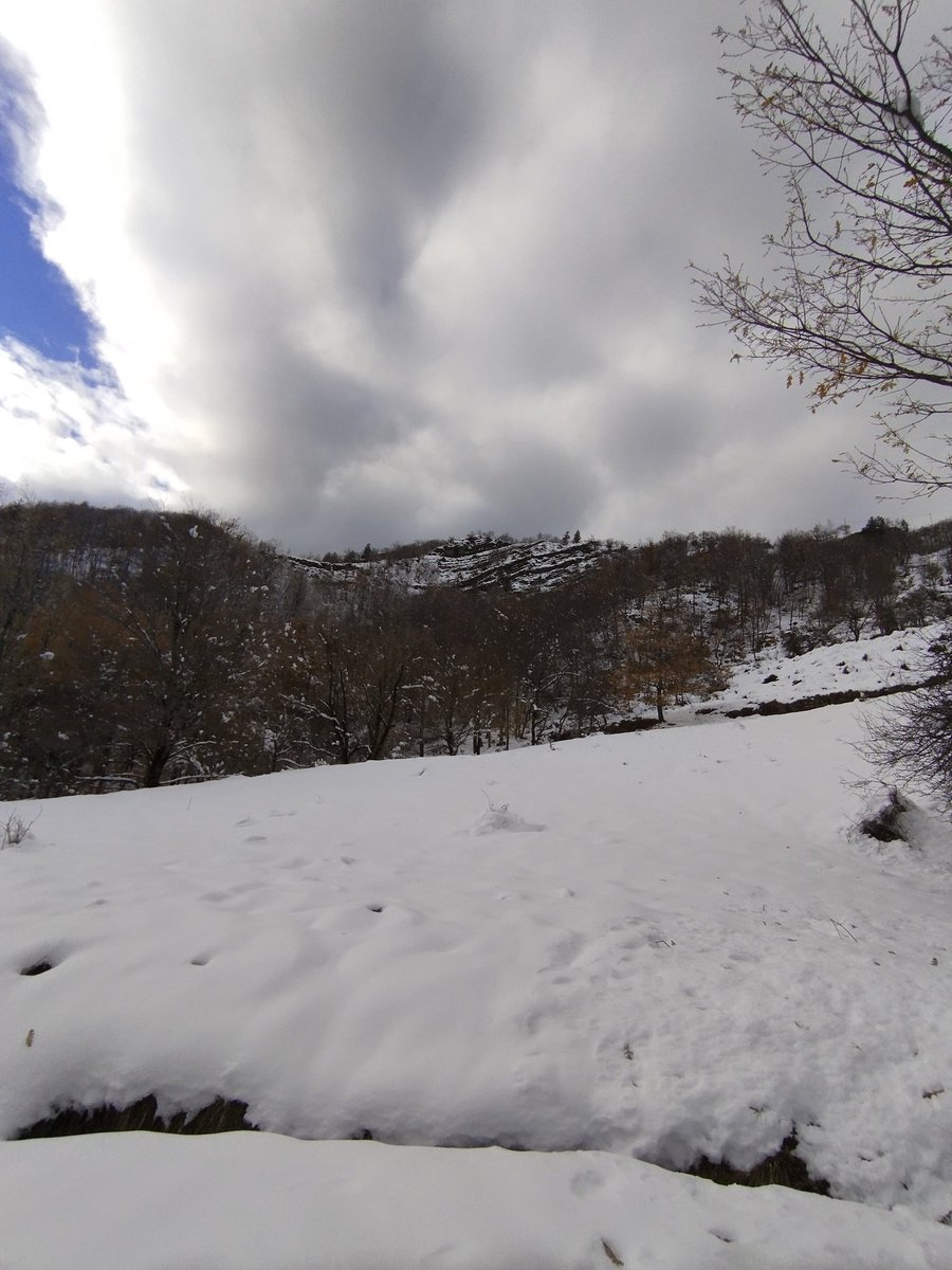 DavideFantuzzi's tweet photo. Pt.2 scampagnata a #campigna

#montagna #NaturePhotography #boilerpassionetrekking #appenninotoacoromagnolo https://t.co/tn0r46RHLQ