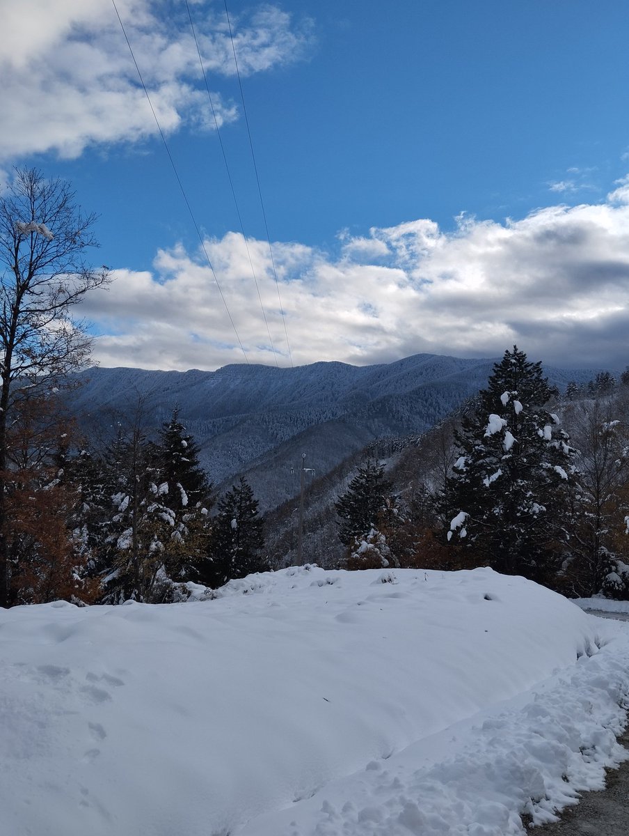 DavideFantuzzi's tweet photo. Pt.2 scampagnata a #campigna

#montagna #NaturePhotography #boilerpassionetrekking #appenninotoacoromagnolo https://t.co/tn0r46RHLQ