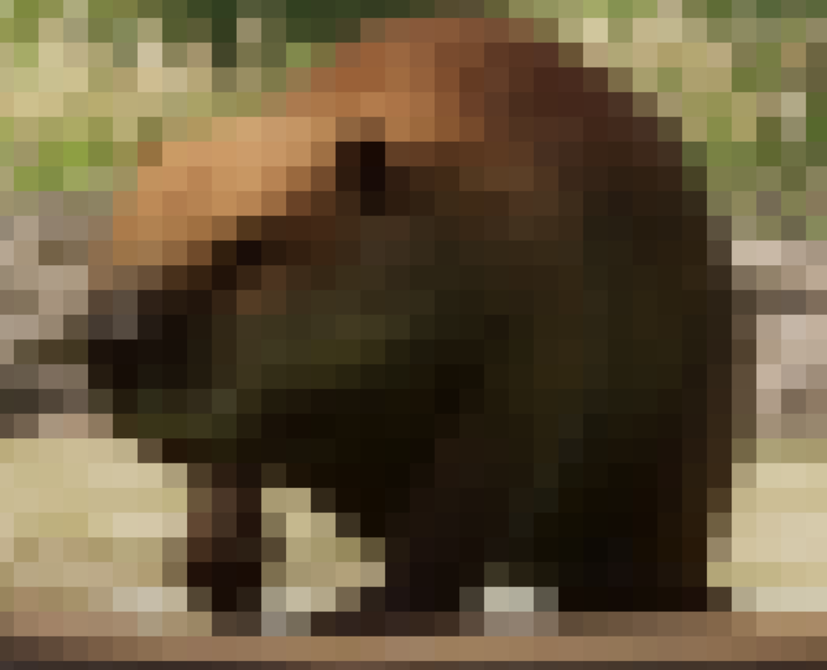 TheGamingBeaver tweet media