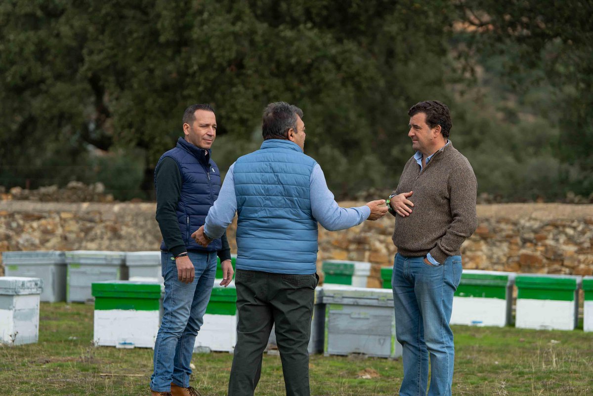 rchamode's tweet image. En Fuenlabrada de los Montes (Extremadura) con @OscarFdezCalle, @_Angel_Pelayo 
Explotaciones apícolas y de ovino, escuchando los problemas reales del mundo rural
La carretera N-430 sigue siendo un infierno para nuestros pueblos.
Lo rural necesita soluciones, no excusas @vox_es