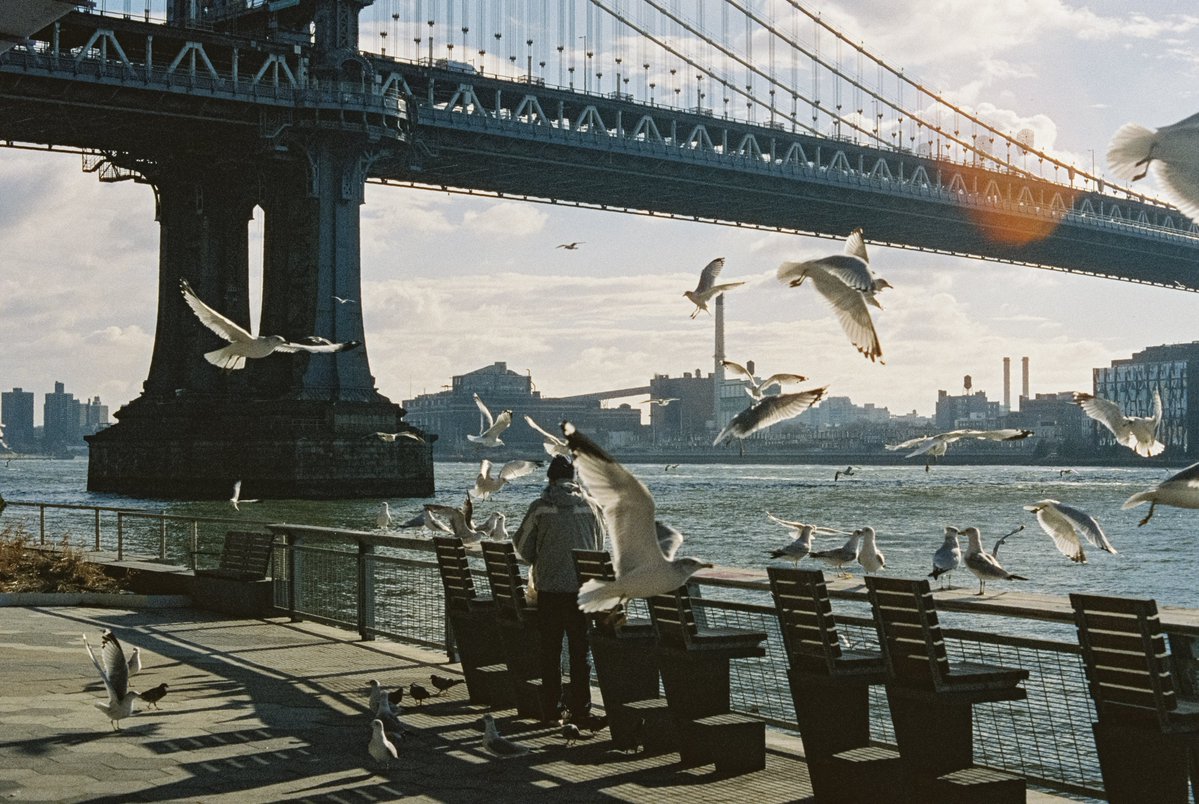 michaelboegl's tweet image. New York in 35mm film 🎞️