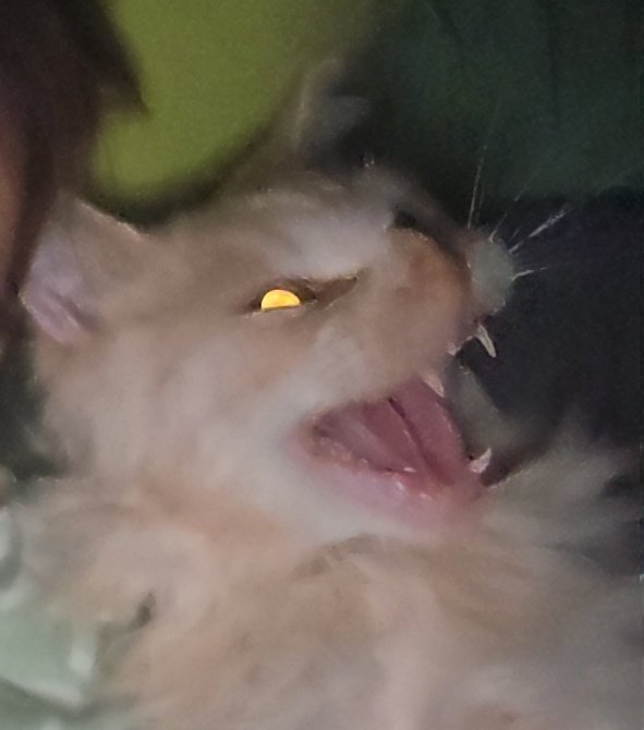 Mathookee's tweet image. 1 like ? Likez ou je l&apos;invoque