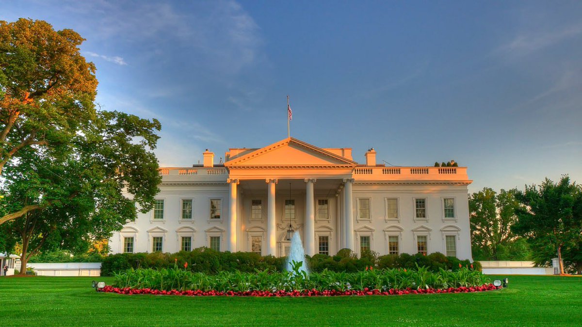 Save America 🇺🇲 tweet media