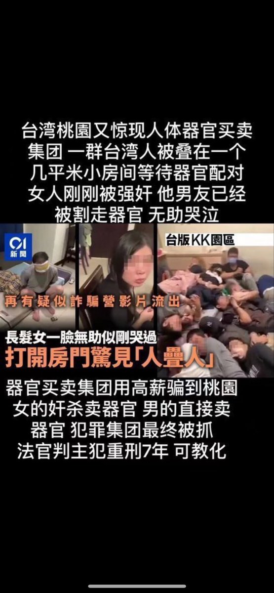 徐芳麗 tweet media