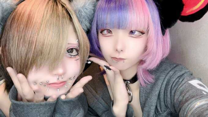 ノラ猫でも愛してくれますか？のツイート