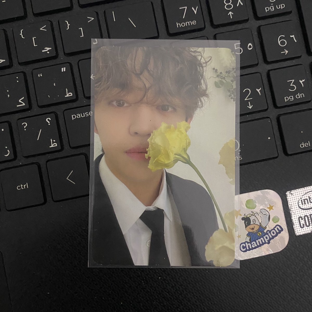 wts pc scoups guys 

25k/ea inc all 

🏡 tangsel 
 📌tokopedia only