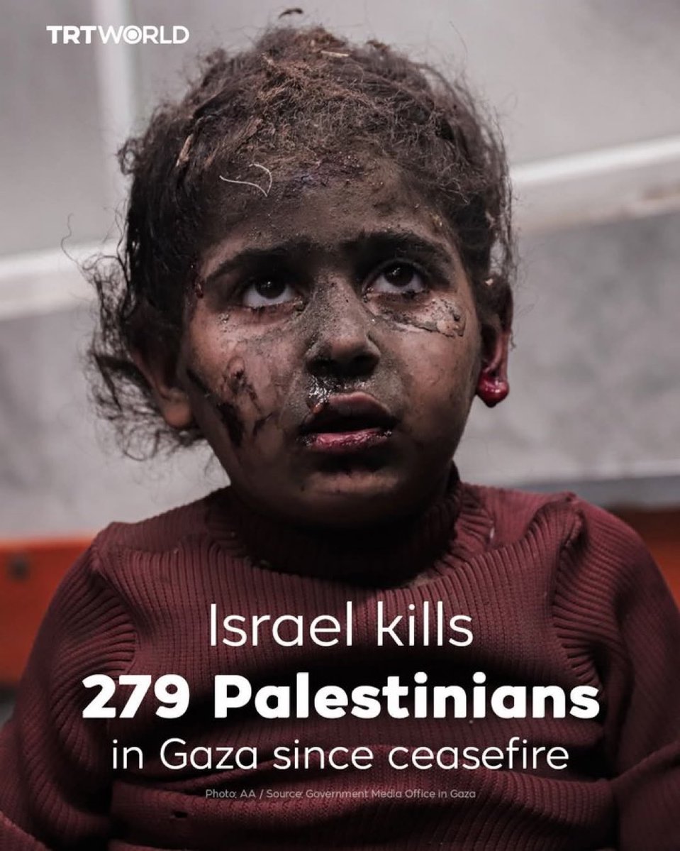 ShaykhSulaiman's tweet image. Only Israel.