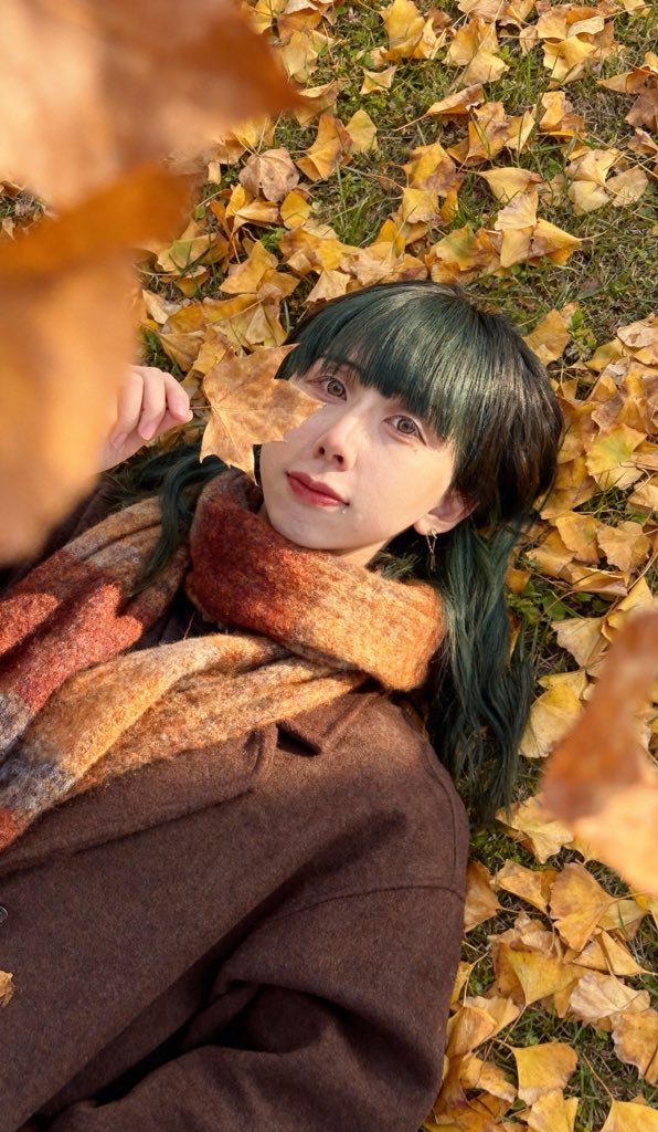 meiji0517's tweet photo. 🍂🍁 https://t.co/l96u9KIvj4