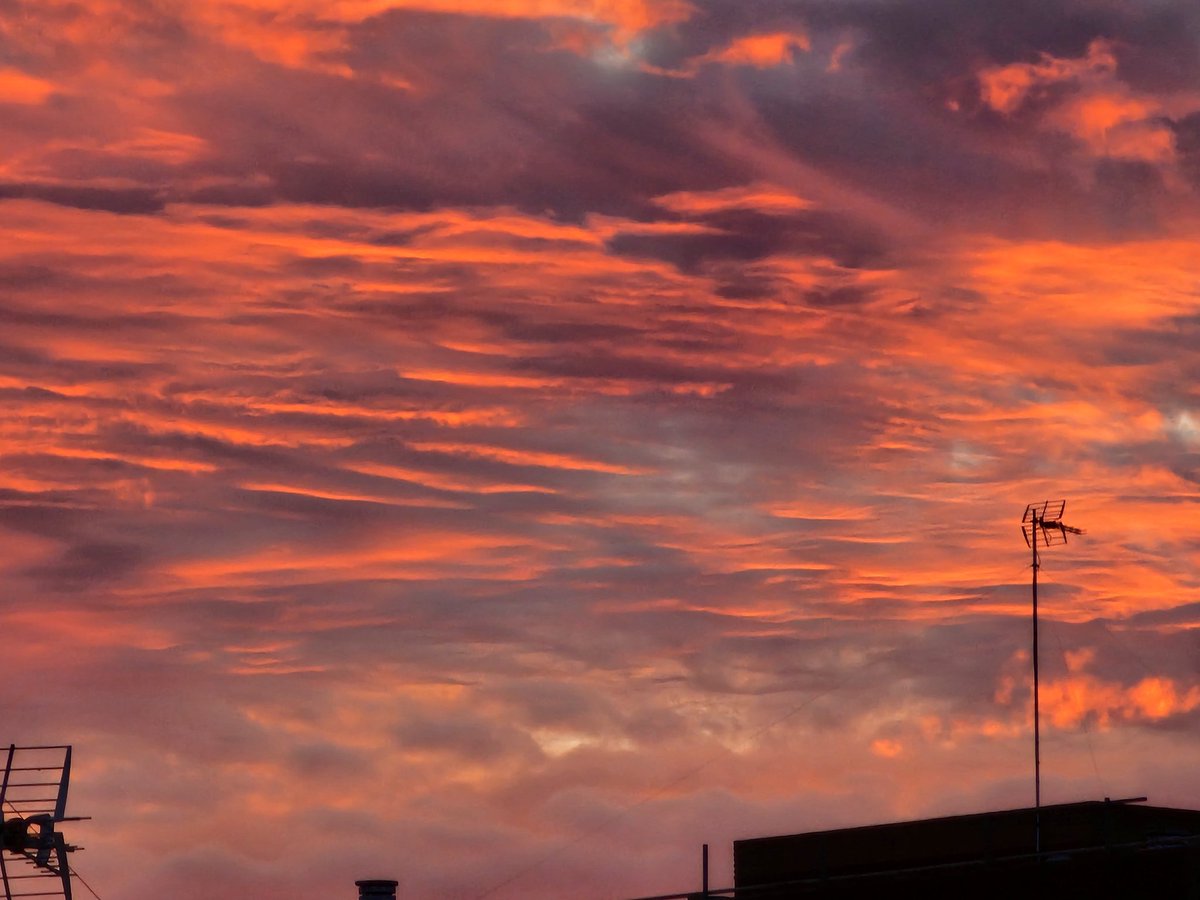 Poblesdvalencia's tweet photo. Atardecer mágico en 📍València
#atardecer #valencia #fotografia https://t.co/GASbr0ipqn