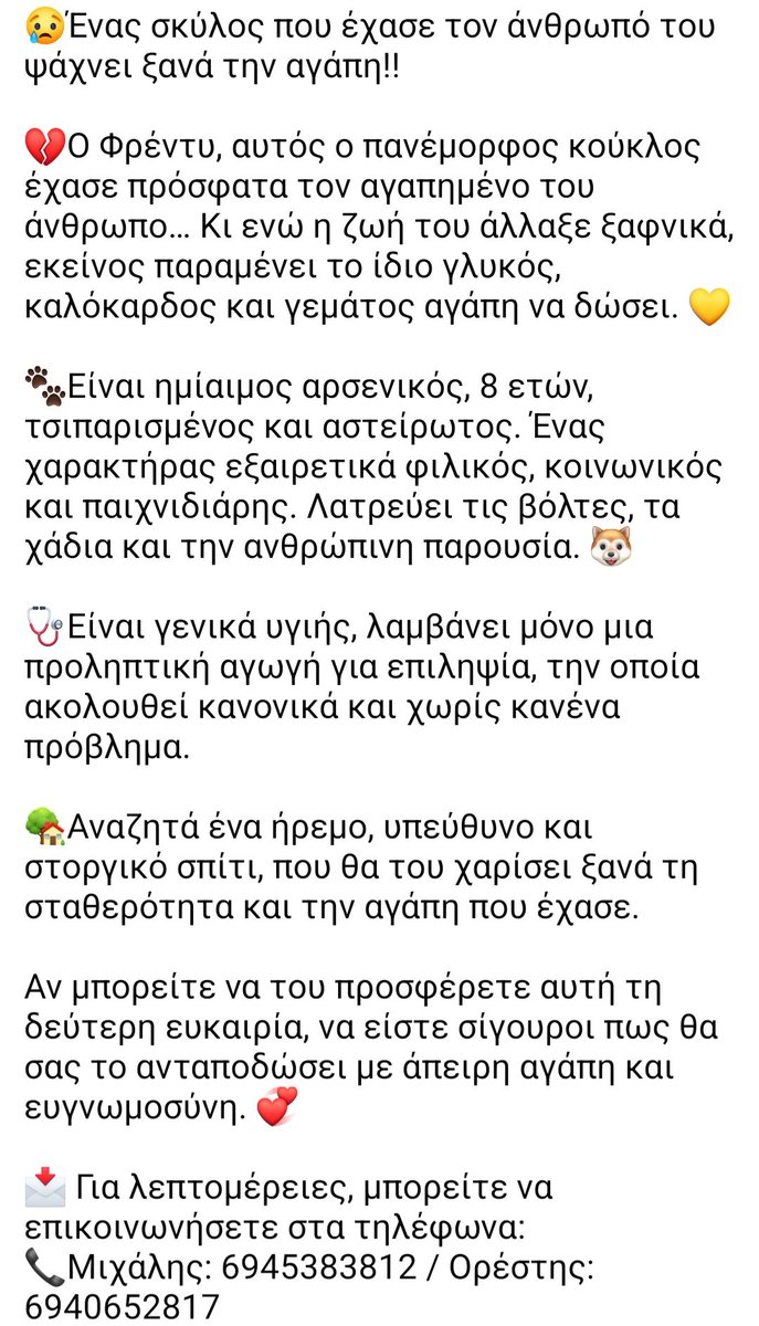 🆘️🆘️🆘️
Ο Φρέντυ έχασε τον άνθρωπο του κ ψάχνει ξανά την αγάπη
8 ετών,με τσιπ,χωρίς στείρωση
Εξαιρετικός χαρακτήρας κ παιχνιδιαρης
Είναι γενικά υγιής απλά λαμβάνει προληπτικά αγωγή για επιληψία χωρίς κανένα πρόβλημα
Ένα ήρεμο,υπεύθυνο κ στοργικό σπίτι για εκείνον;
Rt 🙏🙏🙏