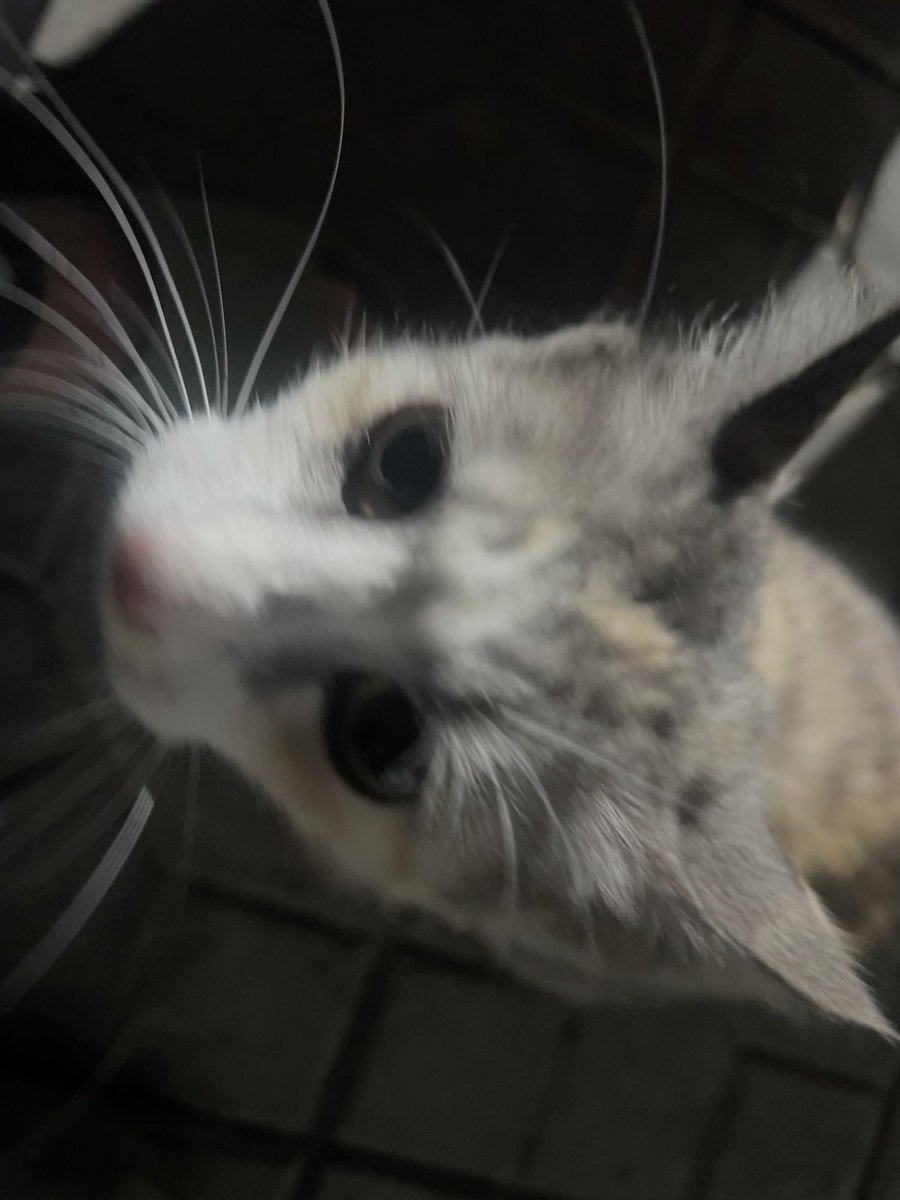 Aautoprivate's tweet image. Happiness lies in the moments you stop rushing through… 

#MiK📸