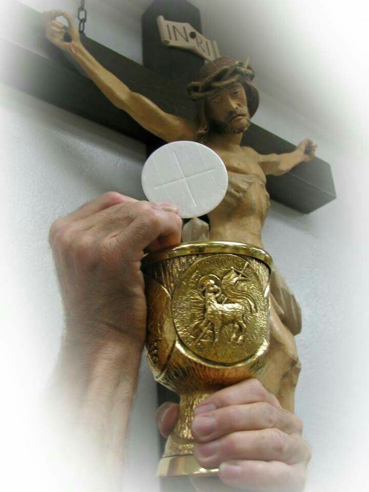 JustAdaugoijele's tweet image. My Lord and My God