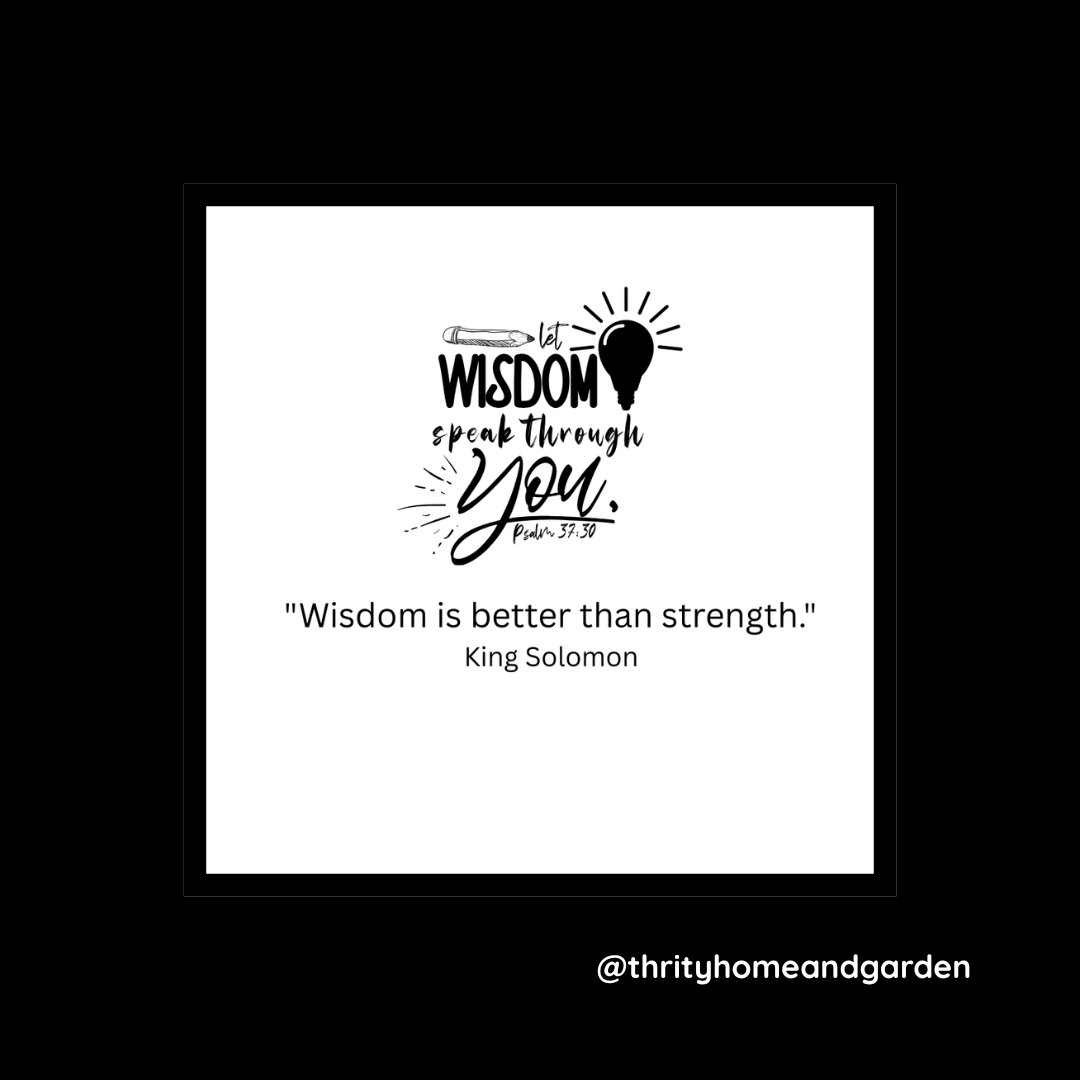 thriftyhomegrdn's tweet image. ✨ “Wisdom is better than strength.” — King Solomon
A timeless reminder that clarity, patience, and understanding often win the day. 🌿
#Wisdom #KingSolomon #MindfulLiving #LifeLessons #DailyInspiration #ThoughtfulMoments #ThriftyHomeAndGarden #ChooseWisdom #InnerStrength