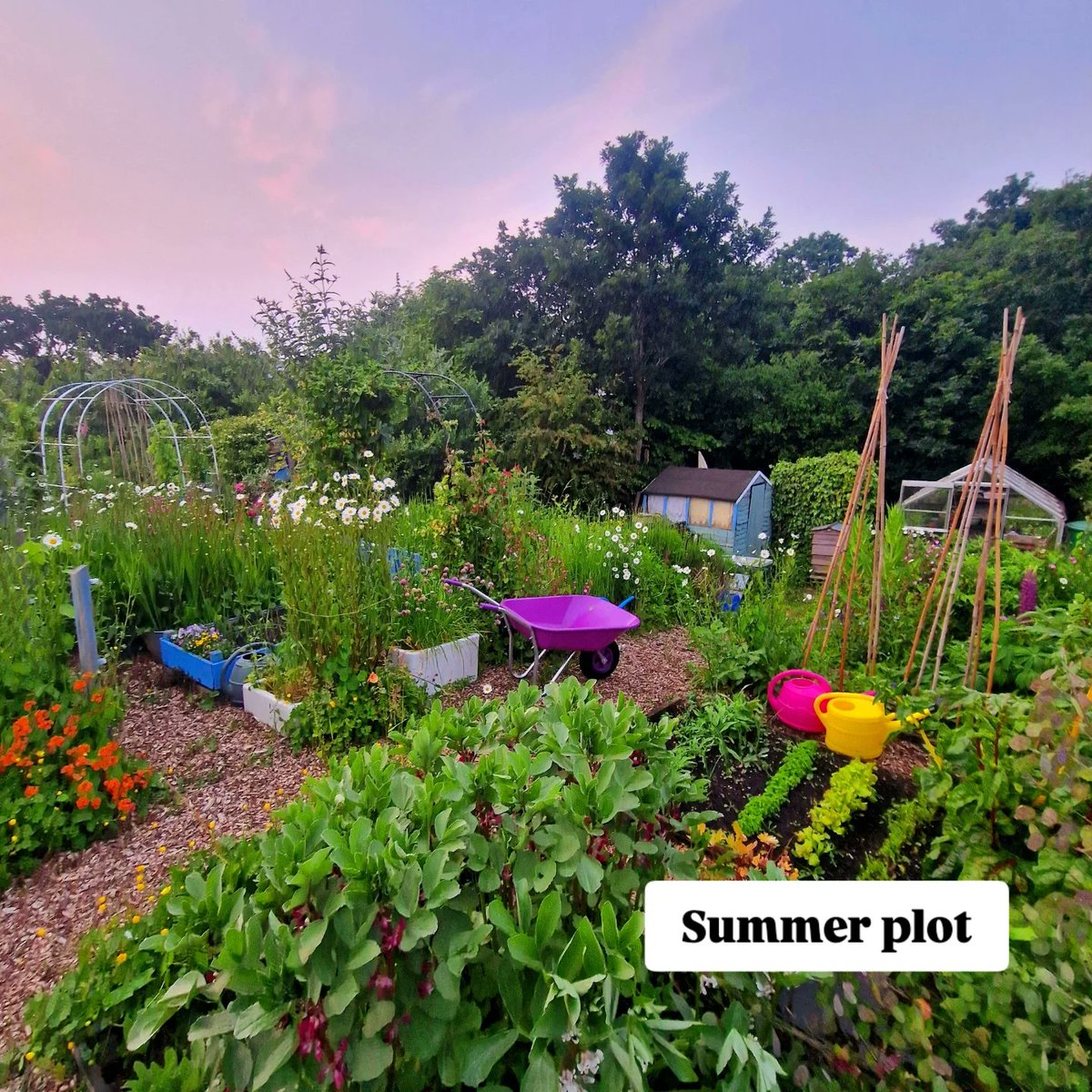 lovely_plot's tweet image. Same plot, different season 😊