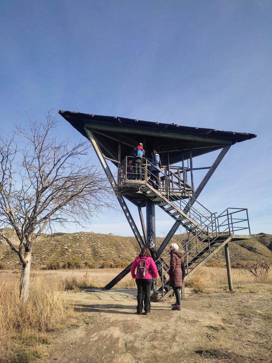 ValverdeAI's tweet photo. Una mañana de aprendizaje sobre la flora y fauna presente en la Reserva Natural El Regajal-Mar de Ontígola en #Aranjuez, organizada por @CENTROCAMPILLO https://t.co/yKwJRMPf7a