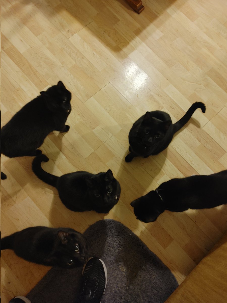 Ben Krehbiel tweet media