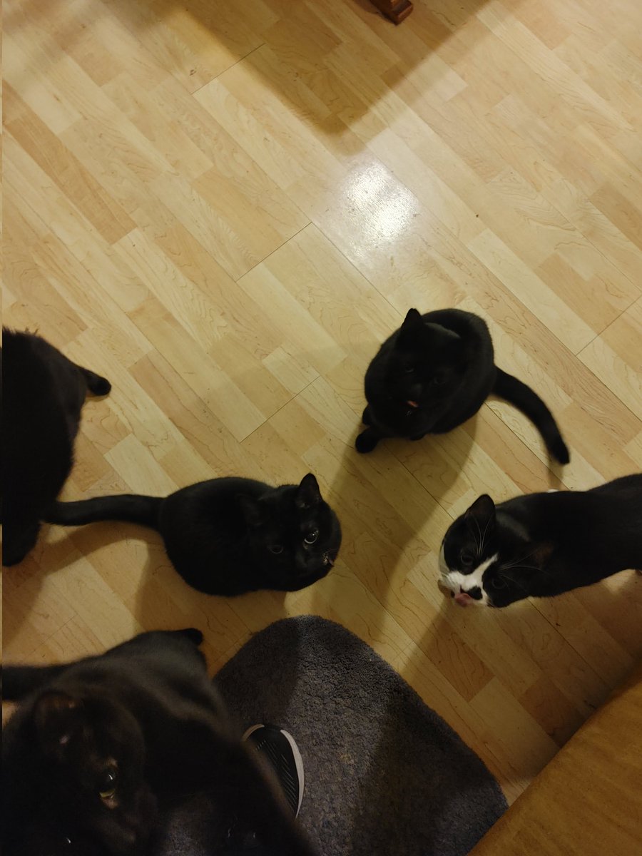 Ben Krehbiel tweet media