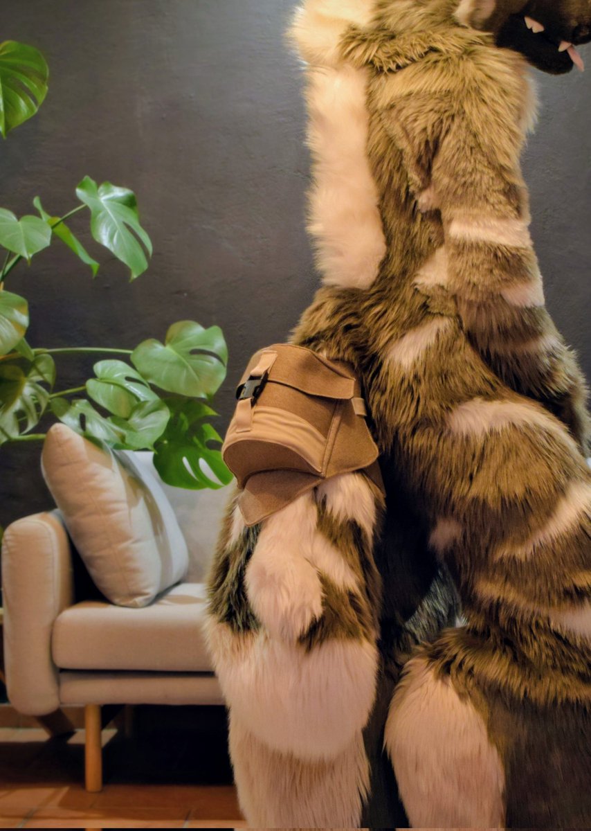 mooderana's tweet image. How about 𝙏𝙖𝙞𝙡𝙗𝙖𝙜© v2?