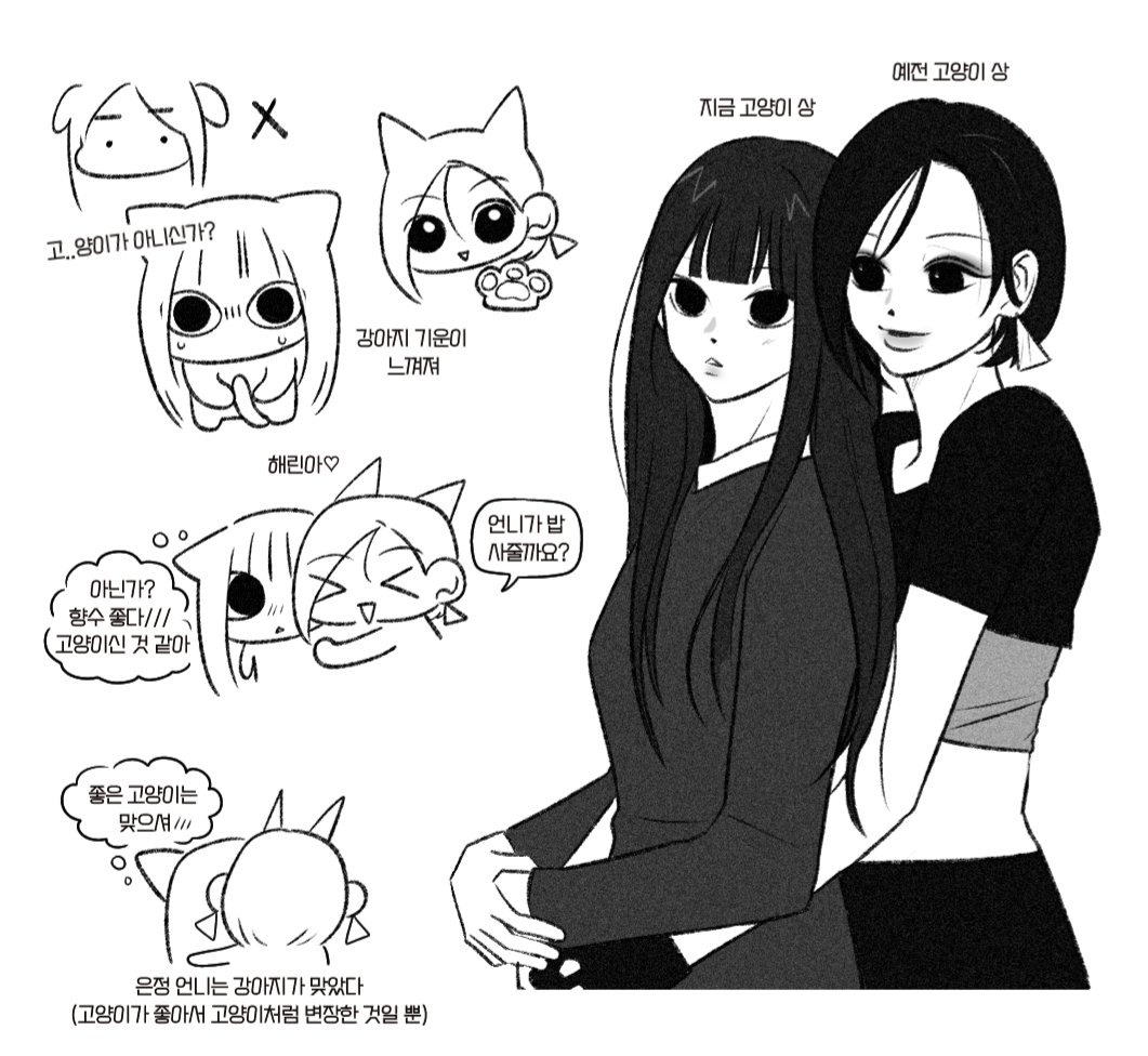 고양이 최고♥︎♥︎