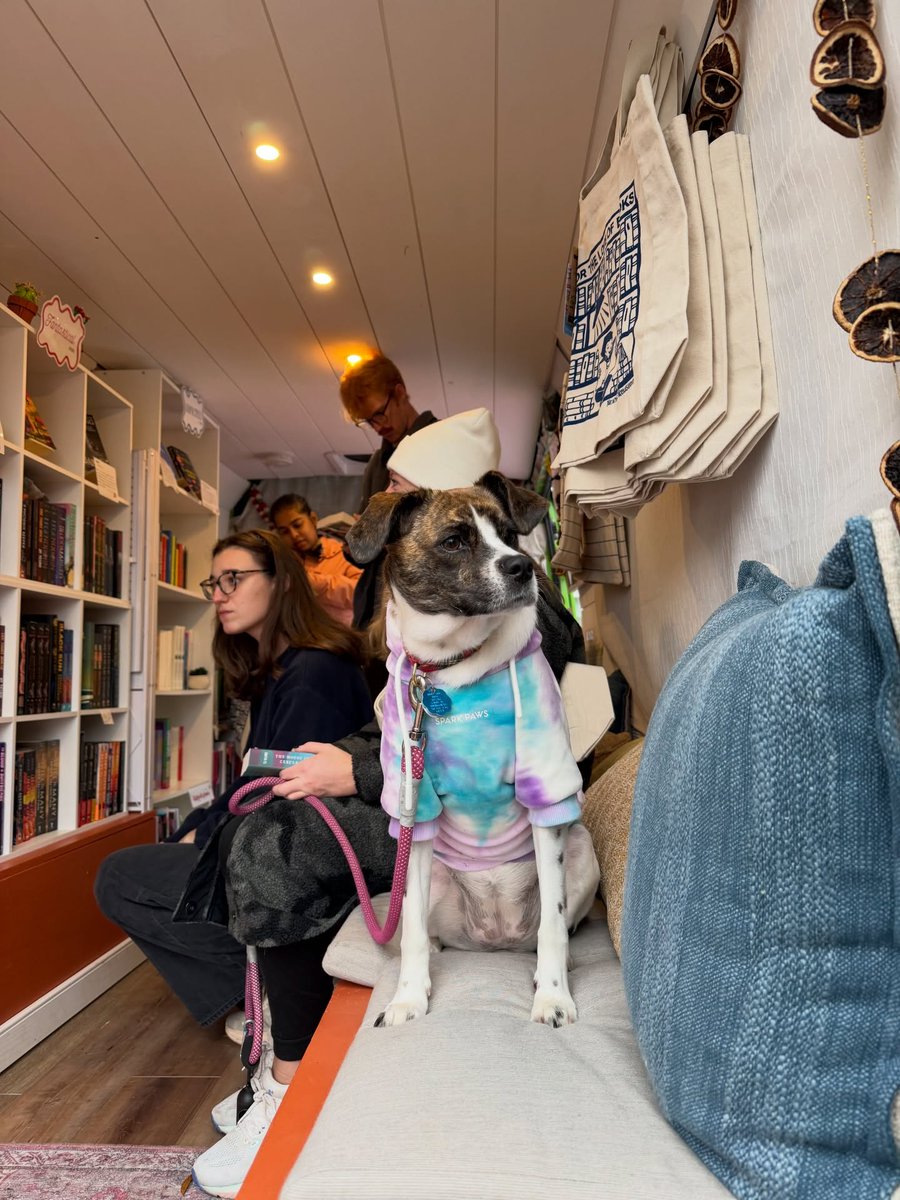 HanvxBoyd's tweet image. Do you think it should be given another pair of shoes? lol