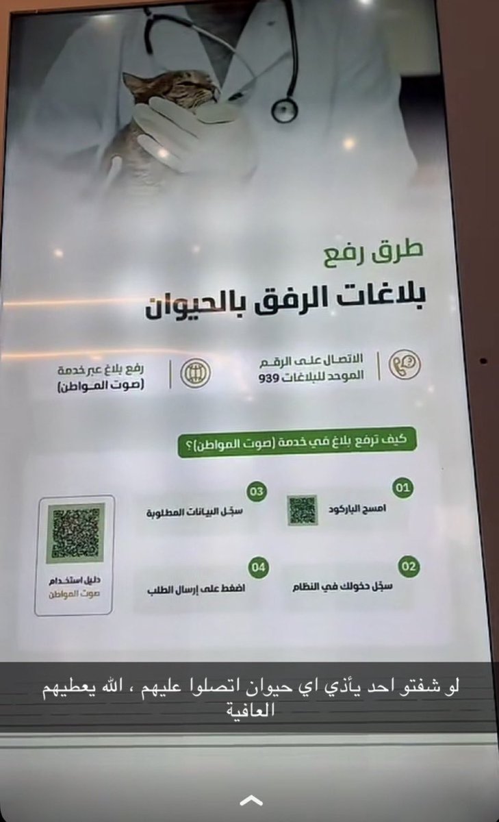 soundsoul369's tweet image. #قاتل_قطط_الدمام

الكل يبلّغ 
اللي يخاف على اطفاله يبلّغ.
اللي يخاف على قططه خارج البيت يبلّغ.