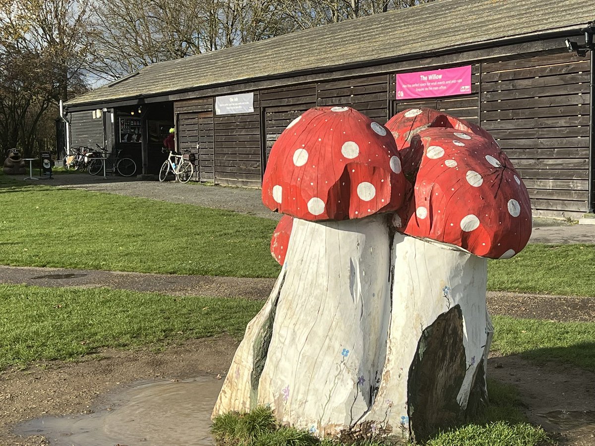 HaveringCycling's tweet image. Weather dried up just in time for three Havering riders earlier. Ride out via Stanford le Hope and Fobbing. Lunch at Wat Tyler Country Park with SEG rider Mel for company. Home via Dry Street and Bulphan. Next Sunday- “Brew Heaven Café” Ramsden Heath.