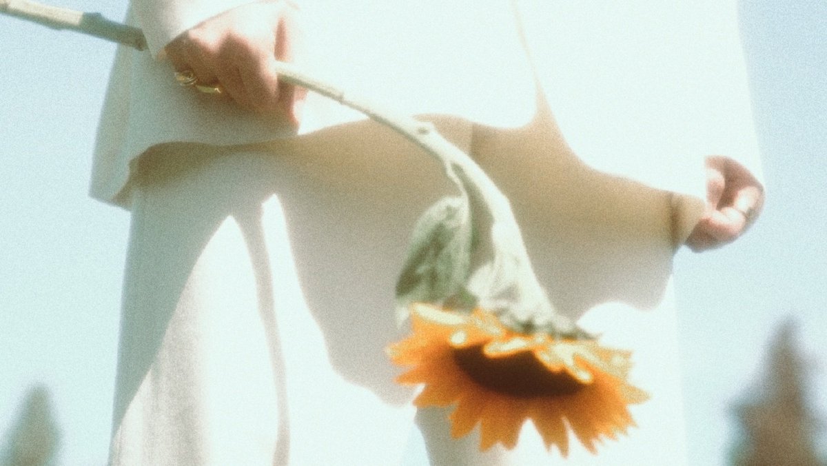 detailsofrm's tweet image. ☀️kissed