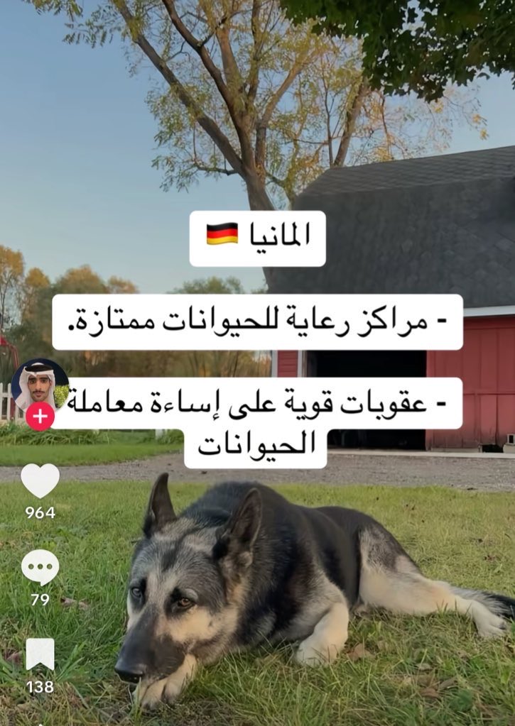 Lookglamor tweet media