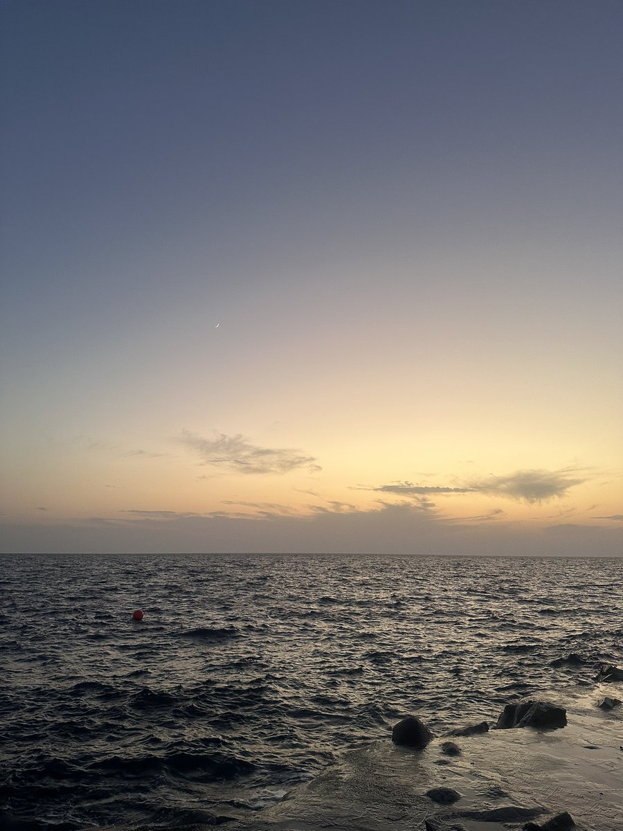 Alaa.mahsoon tweet media