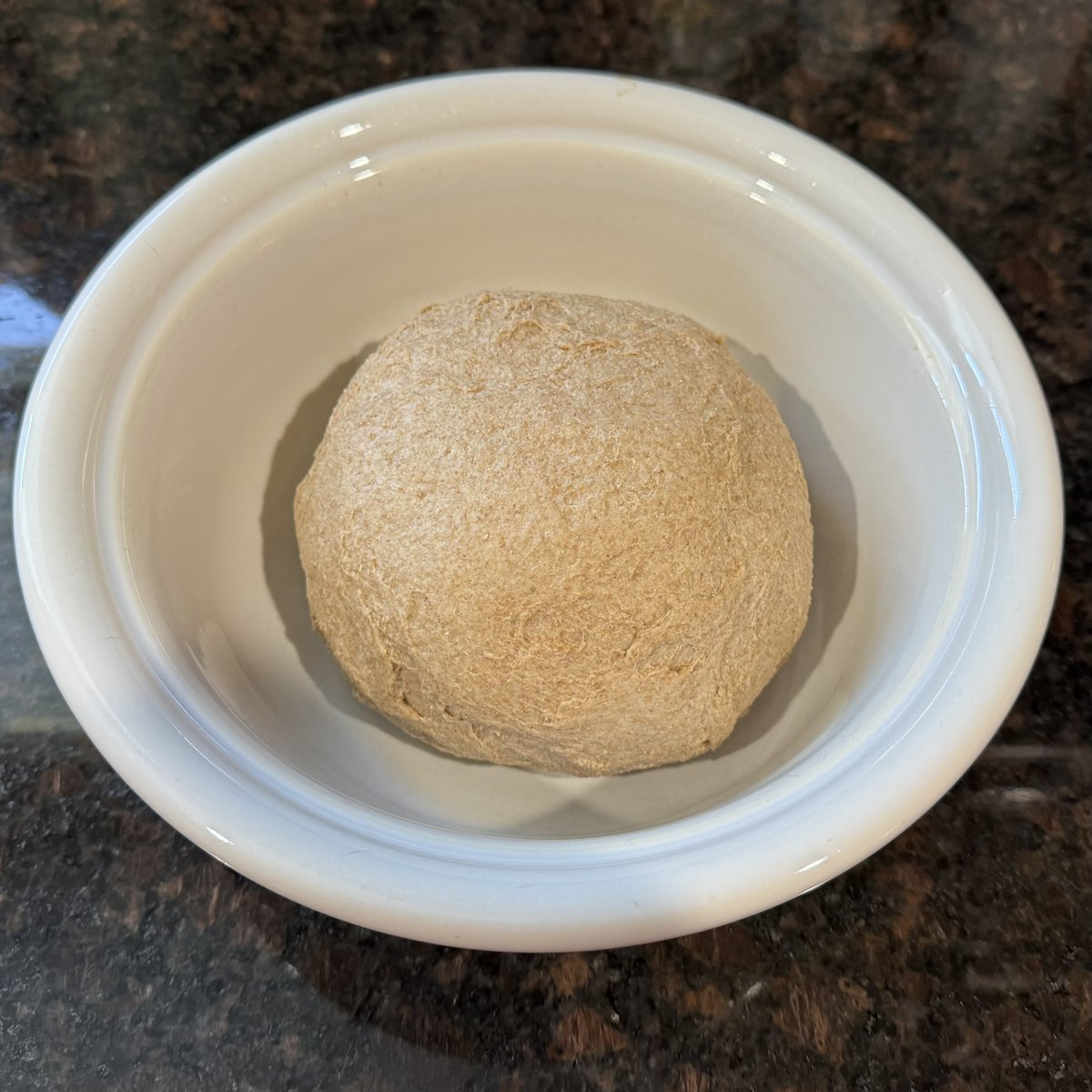 A week ago, I was given a sourdough starter. After a week of feeding it and figuring it out, I find myself with two (seemingly) healthy starts and will begin the process of baking today. It seems to be rising well, despite the lower-than-optimal temperature in the house!