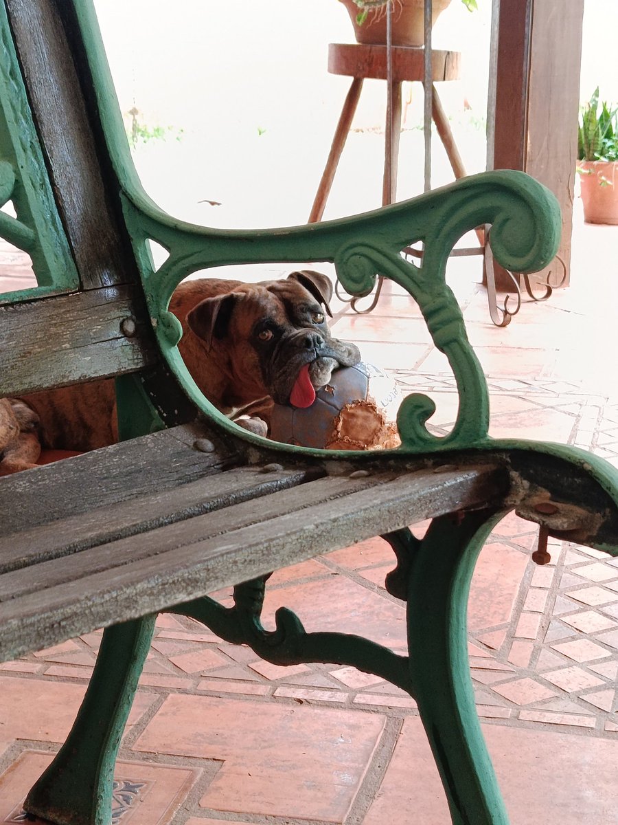 Sebzarzar's tweet image. Someone wants to play 😁 #RedmiNote14