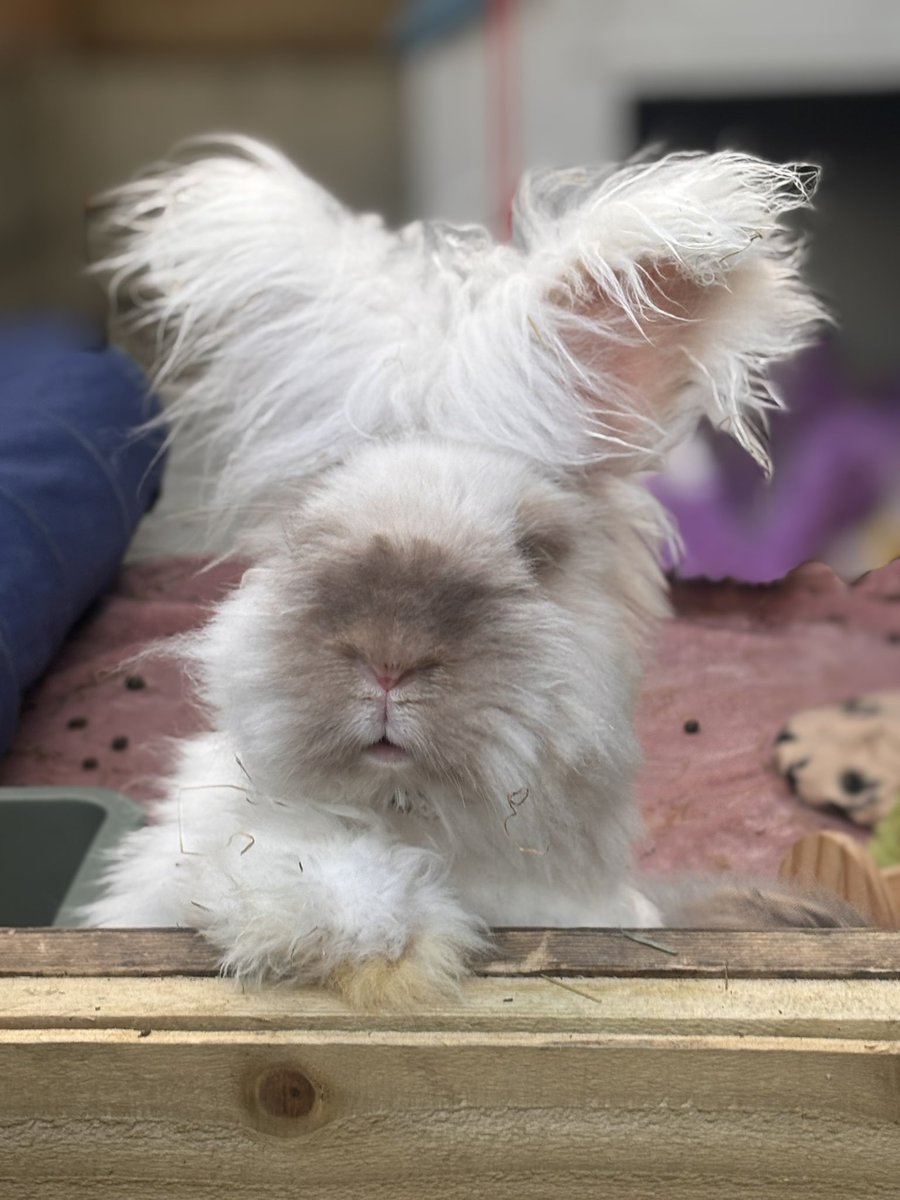 Bruce has been sober for 3 weeks but I doubt anyone cares enough to drop
A heart ♥️