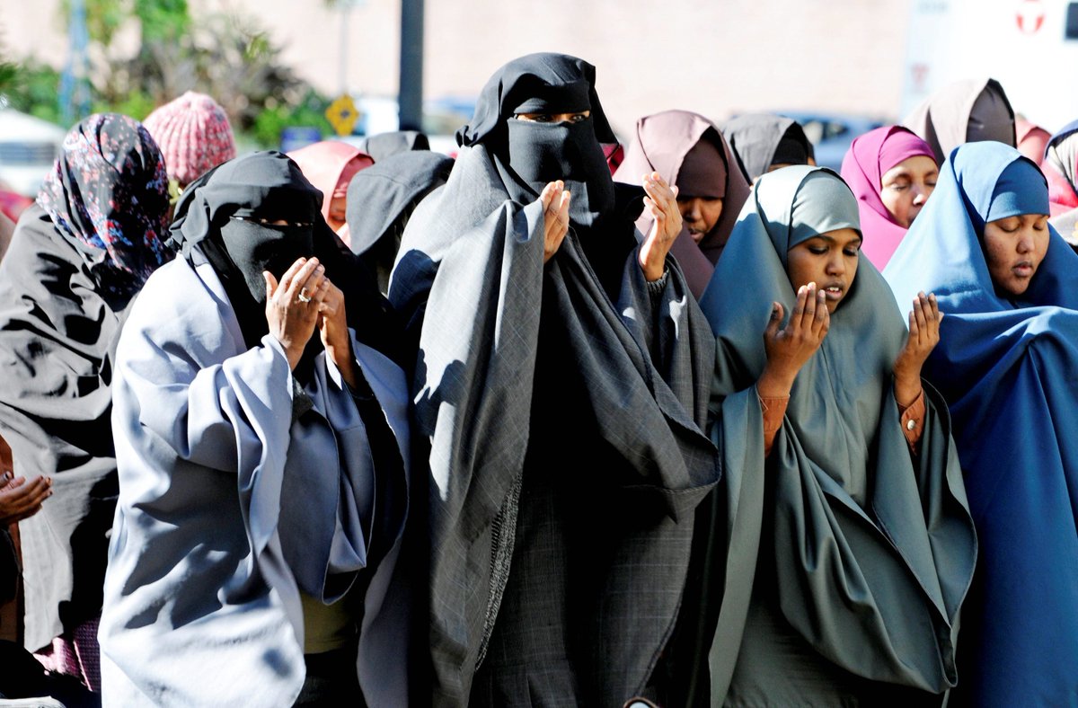 RealJMPeterman's tweet image. In 9 years, the Somali population of MN has more than doubled.

In that time, over a billion dollars has been stolen from US and MN taxpayers by Somali groups.

Based on the number of defendants, there is a &amp;gt; 80% chance every one you meet is a family member of a participant.
_