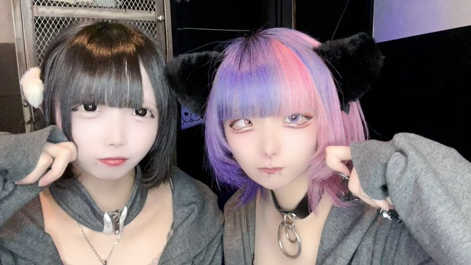 ノラ猫でも愛してくれますか？のツイート