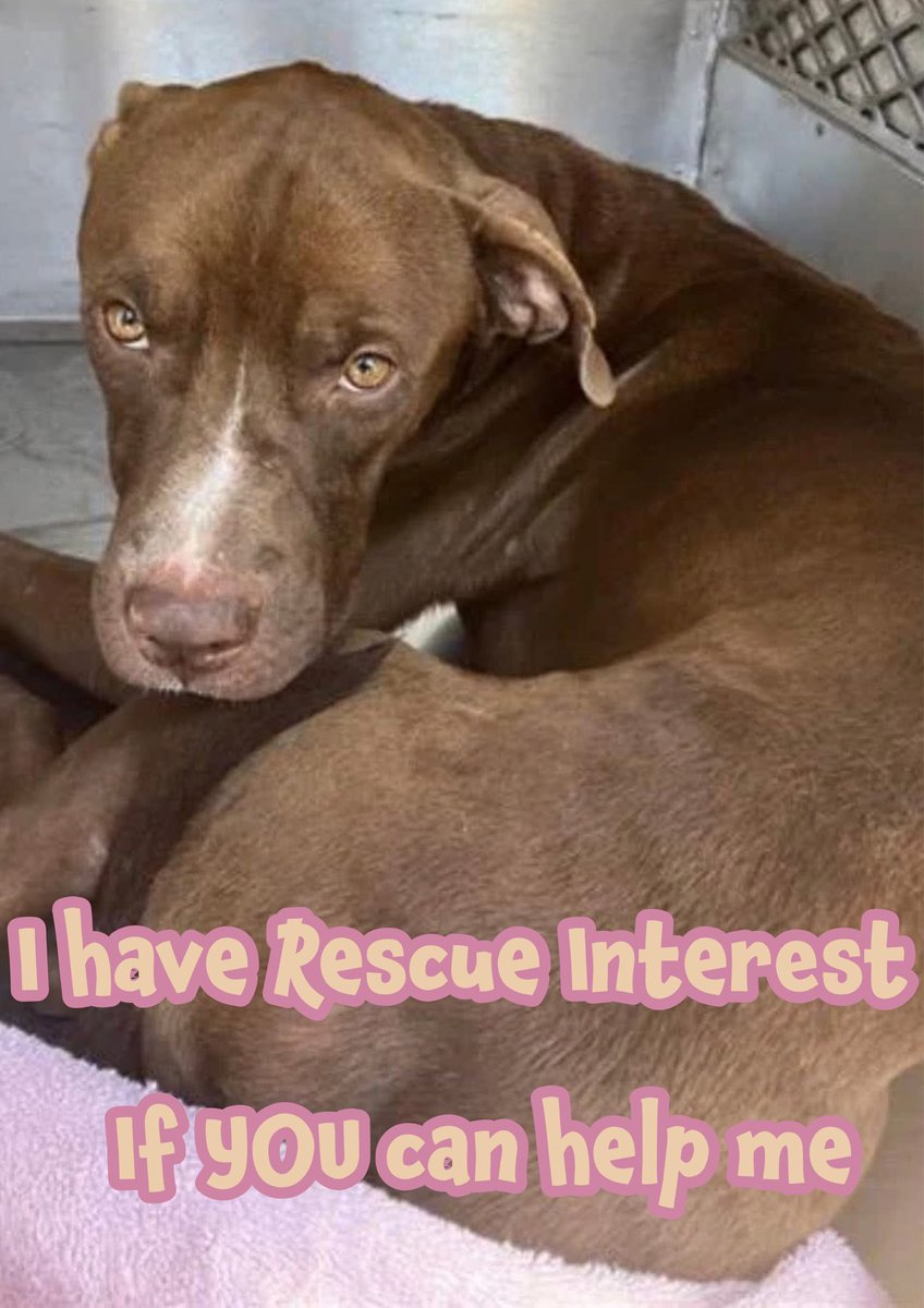 RoCo🇬🇧God Save The King🇬🇧 tweet media