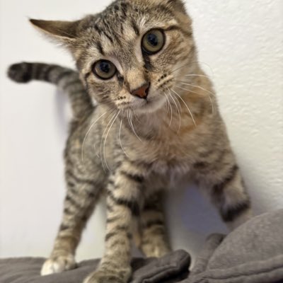 horizontalcornn's tweet image. #NewProfilePic